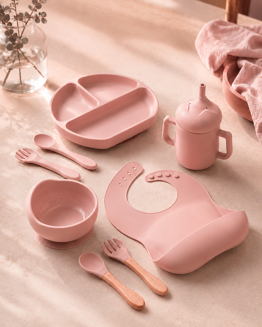 SET ALIMENTACION COMPLEMENTARIA